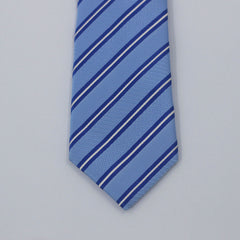 BLUE & WHITE STRIPED TIE
