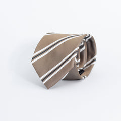 THE BROWN STRIPED TIE