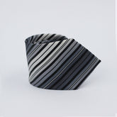 THE GREY PALETTE STRIPED TIE