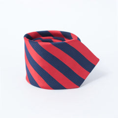 THE BLUE & RED STRIPED TIE