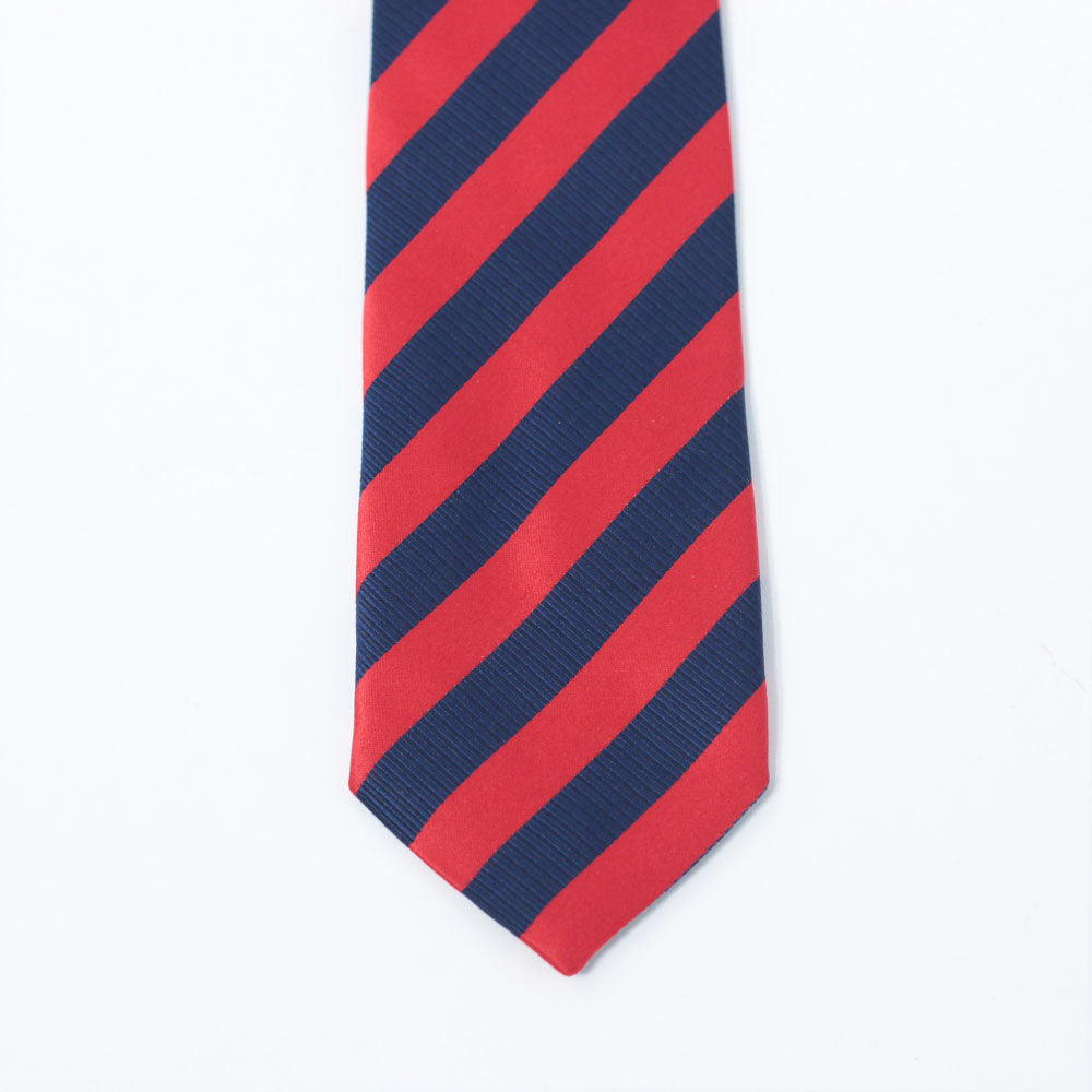 THE BLUE & RED STRIPED TIE