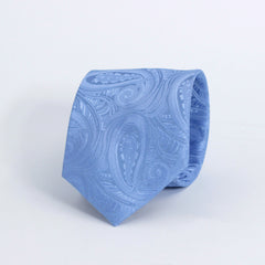 ICE BLUE PAISLEY FESTIVE TIE