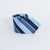 THE BLUE STRIPED TIE