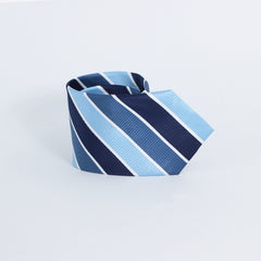 THE BLUE STRIPED TIE