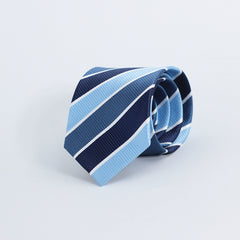 THE BLUE STRIPED TIE