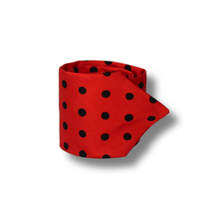 RED & BLACK POLKA DOTS TIE SET