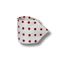WHITE & RED POLKA TIE SET