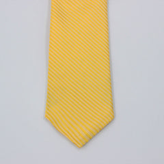 THE SUNNY STRIPED TIE