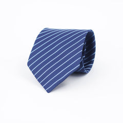 THE BLUE STRIPED TIE