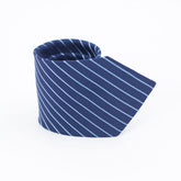 THE BLUE STRIPED TIE