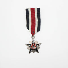 Striped Star of Honour Pin