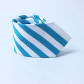THE SKY BLUE & WHITE STRIPED TIE