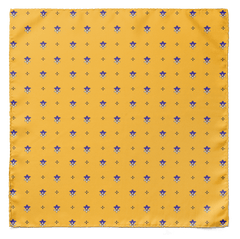 BUMBLEBEE SILK SCARF & POCKET SQUARE SET (LUXE COLLECTION)