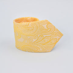 YELLOW PAISLEY FESTIVE TIE AND POCKET SQUARE SET