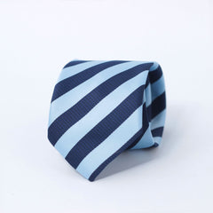 THE BLUE HUE STRIPED TIE