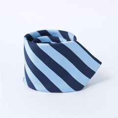 THE BLUE HUE STRIPED TIE