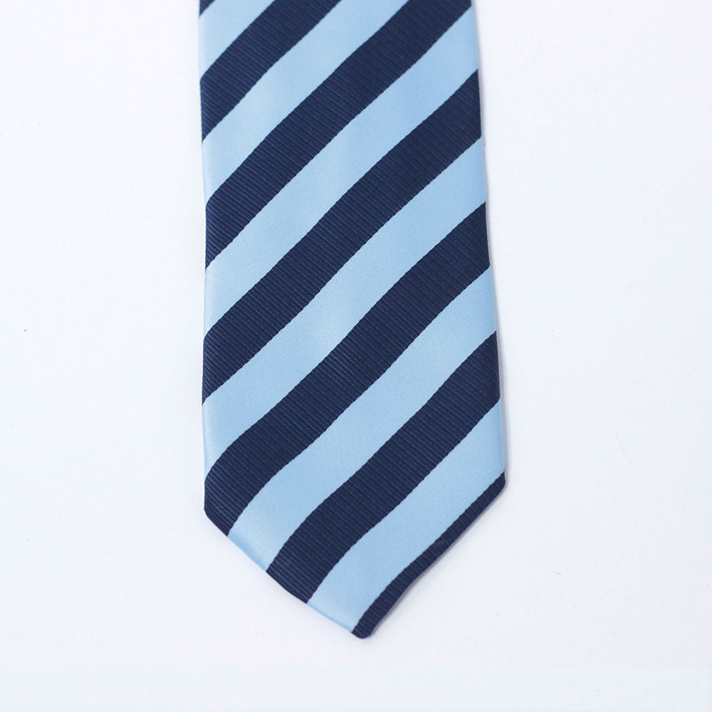 THE BLUE HUE STRIPED TIE