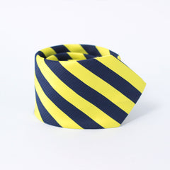 THE YELLOW & BLUE STRIPED TIE