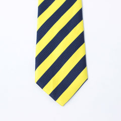 THE YELLOW & BLUE STRIPED TIE