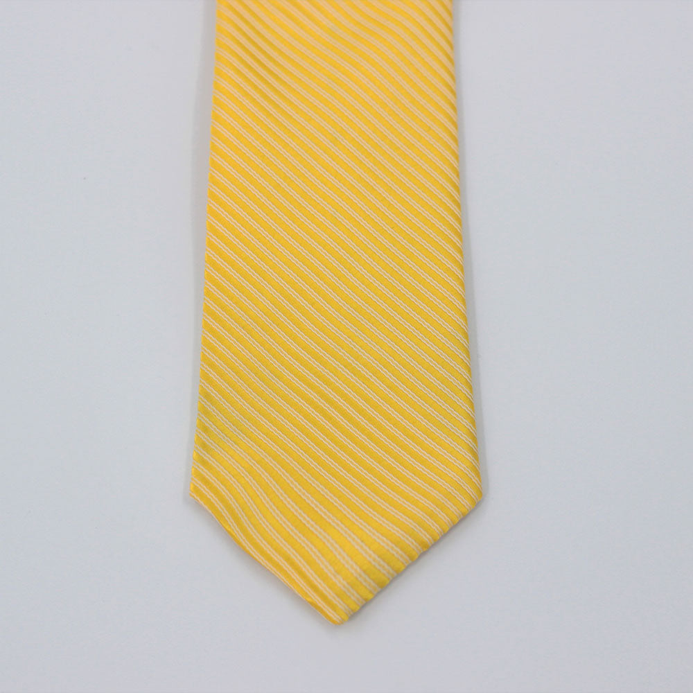 THE SUNNY STRIPED TIE