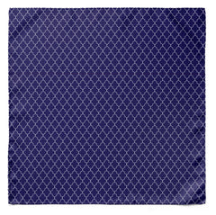 BLUE WHITE TARTAN SILK MEN SCARF