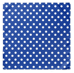 BLUE WITH WHITE POLKA SILK CRAVAT & POCKET SQUARE SET
