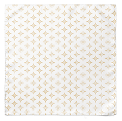 WHITE SPARKLES SILK CRAVAT & POCKET SQUARE SET