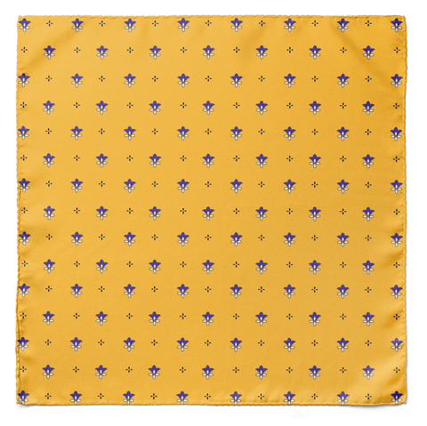 BUMBLEBEE POCKET SQUARE AND TIE SET