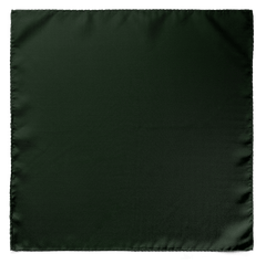 SOLID GREEN SILK CRAVAT & POCKET SQUARE SET
