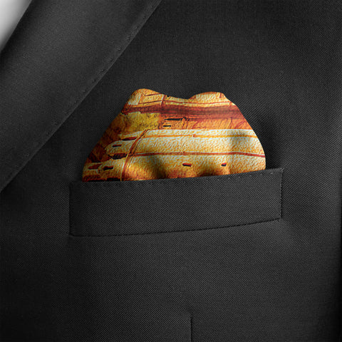 The Royal Qila Silk Pocket Square